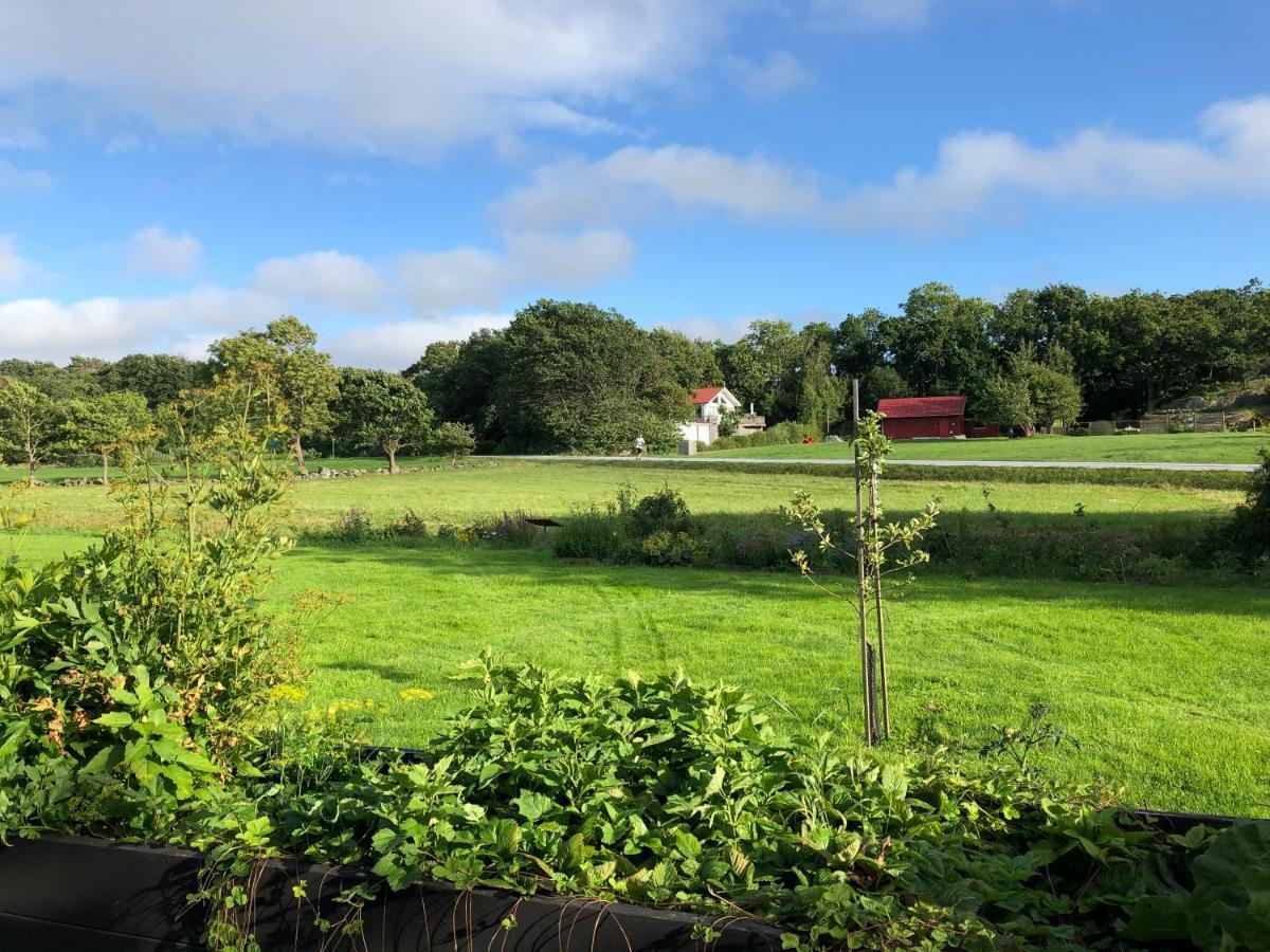 Mysig Nybyggd Stuga Naera Hav Och Natur Klovedal Bagian luar foto